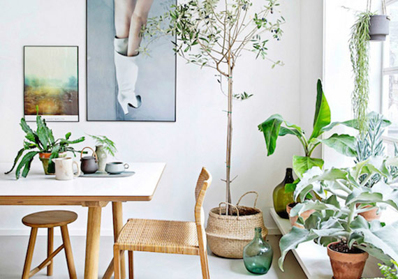 Image source: Habitissimo